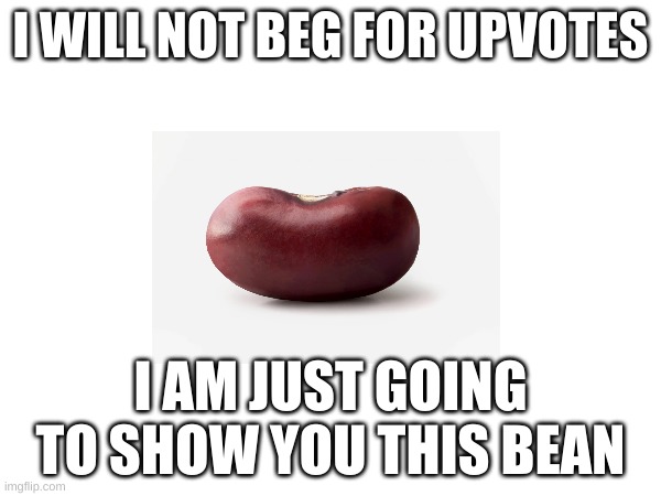 my attempt on making a food image meme |  I WILL NOT BEG FOR UPVOTES; I AM JUST GOING TO SHOW YOU THIS BEAN | image tagged in bean | made w/ Imgflip meme maker