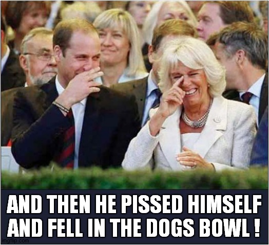 There Are Two Sides To Every Story ... | AND THEN HE PISSED HIMSELF AND FELL IN THE DOGS BOWL ! | image tagged in prince william,prince harry,fignt,dark humour | made w/ Imgflip meme maker