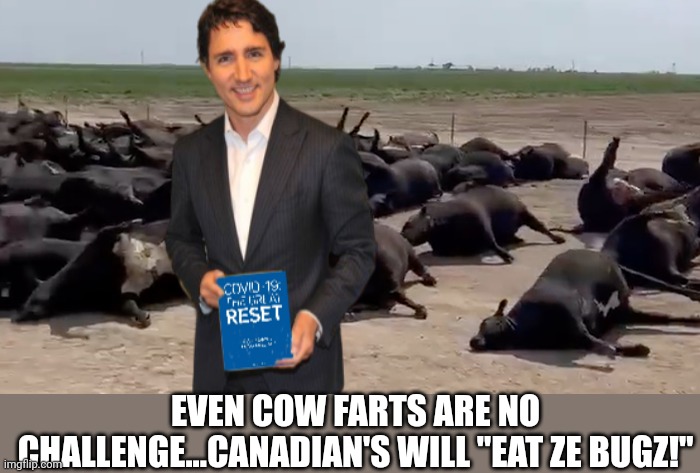 EVEN COW FARTS ARE NO CHALLENGE...CANADIAN'S WILL "EAT ZE BUGZ!" | made w/ Imgflip meme maker