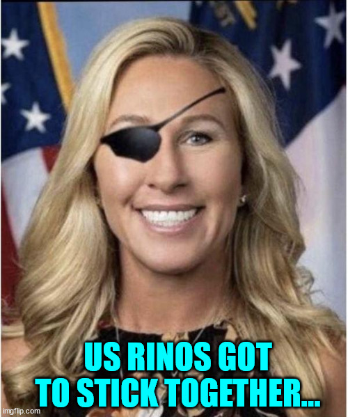 US RINOS GOT TO STICK TOGETHER... | made w/ Imgflip meme maker