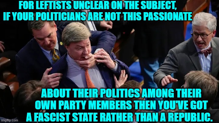 Get 'em boys! | FOR LEFTISTS UNCLEAR ON THE SUBJECT, IF YOUR POLITICIANS ARE NOT THIS PASSIONATE; ABOUT THEIR POLITICS AMONG THEIR OWN PARTY MEMBERS THEN YOU'VE GOT A FASCIST STATE RATHER THAN A REPUBLIC. | image tagged in passion | made w/ Imgflip meme maker