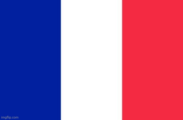 Vive la France | image tagged in vive la france | made w/ Imgflip meme maker