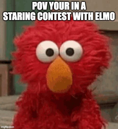 ELMO IS COMING FOR YOU NEXT | POV YOUR IN A STARING CONTEST WITH ELMO | image tagged in elmo,funny | made w/ Imgflip meme maker