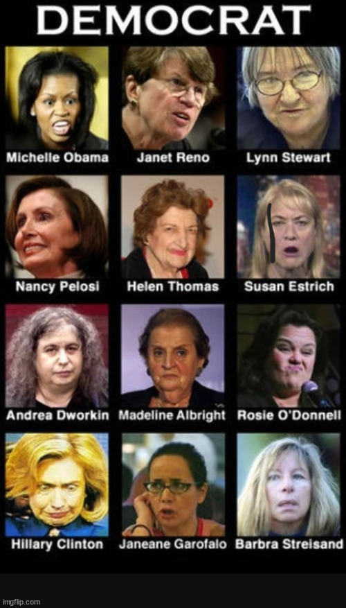 dimocrats be fugly. | image tagged in dimocrats be fugly | made w/ Imgflip meme maker