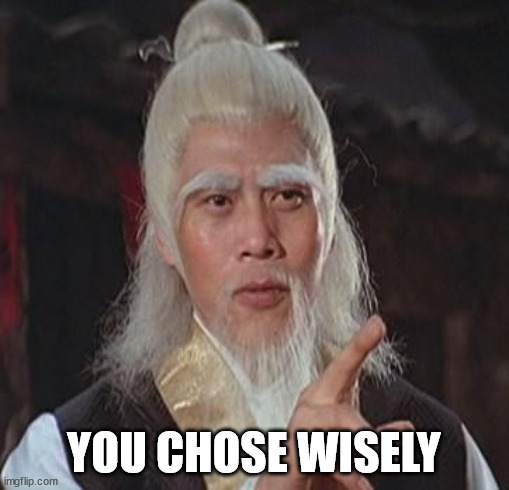 Wise Kung Fu Master | YOU CHOSE WISELY | image tagged in wise kung fu master | made w/ Imgflip meme maker