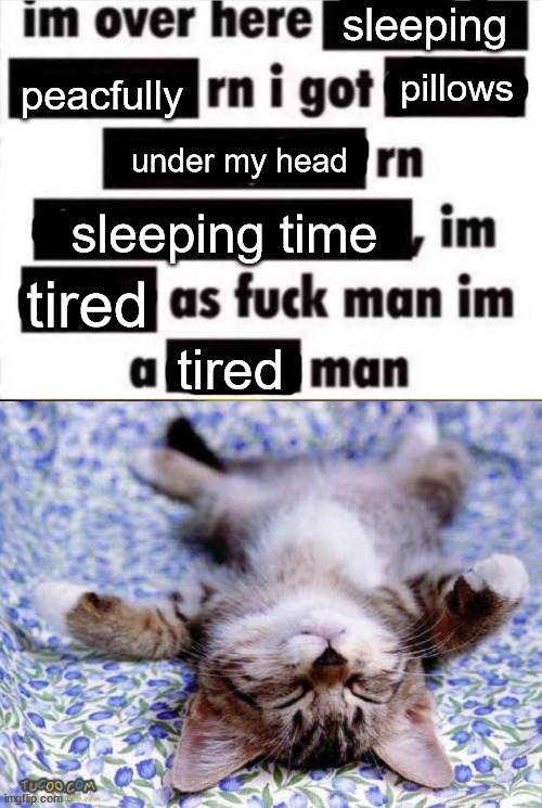 sleeping; peacfully; pillows; under my head; sleeping time; tired; tired | image tagged in im over here,upsidedwon sleeping cat | made w/ Imgflip meme maker