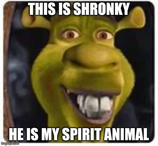 Shronky | THIS IS SHRONKY; HE IS MY SPIRIT ANIMAL | image tagged in shreck donkey | made w/ Imgflip meme maker