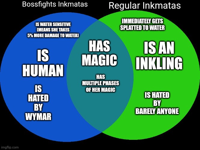 Just a little comparison I made | Bossfights Inkmatas; Regular Inkmatas; IMMEDIATELY GETS SPLATTED TO WATER; IS WATER SENSITIVE (MEANS SHE TAKES 5% MORE DAMAGE TO WATER); HAS MAGIC; IS AN INKLING; IS HUMAN; HAS MULTIPLE PHASES OF HER MAGIC; IS HATED BY WYMAR; IS HATED BY BARELY ANYONE | image tagged in venn comparison | made w/ Imgflip meme maker