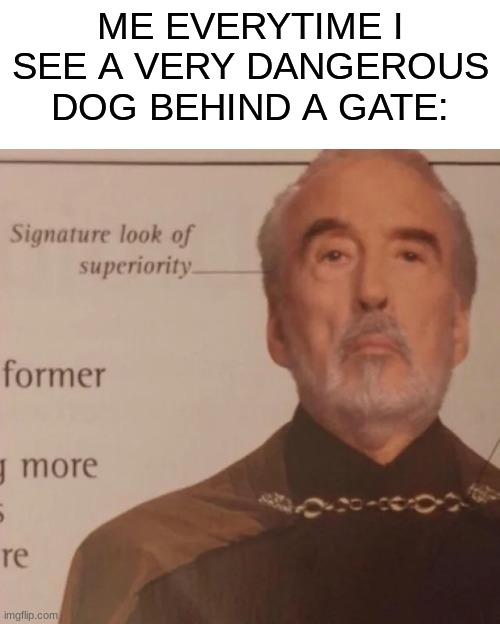 its fax | ME EVERYTIME I SEE A VERY DANGEROUS DOG BEHIND A GATE: | image tagged in signature look of superiority,true | made w/ Imgflip meme maker