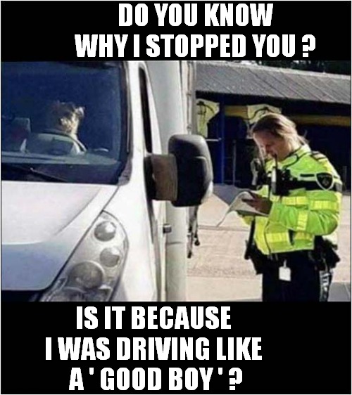 Trying To Talk Your Way Out Of A Speeding Ticket ! | DO YOU KNOW WHY I STOPPED YOU ? IS IT BECAUSE I WAS DRIVING LIKE
 A ' GOOD BOY ' ? | image tagged in dogs,speeding ticket,police,was i a good boy | made w/ Imgflip meme maker