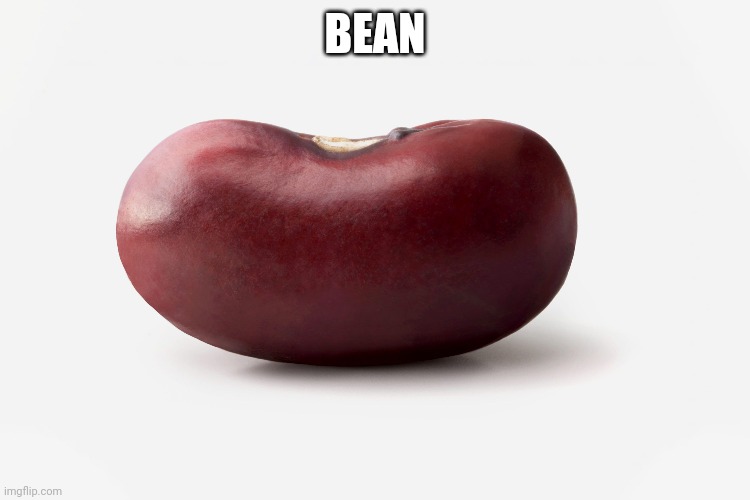 Bean | BEAN | image tagged in beans | made w/ Imgflip meme maker