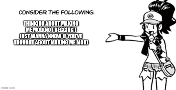 Please this isn't begging i just would like to know  | THINKING ABOUT MAKING ME MOD(NOT BEGGING I JUST WANNA KNOW IF YOU'VE THOUGHT ABOUT MAKING ME MOD) | image tagged in white 'consider the following',not mod begging,i swear it isnt mod begging | made w/ Imgflip meme maker