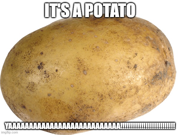 POTATO | IT'S A POTATO; YAAAAAAAAAAAAAAAAAAAAAAAAAAA!!!!!!!!!!!!!!!!!!!!!!!!!! | image tagged in potato,i am a potato | made w/ Imgflip meme maker