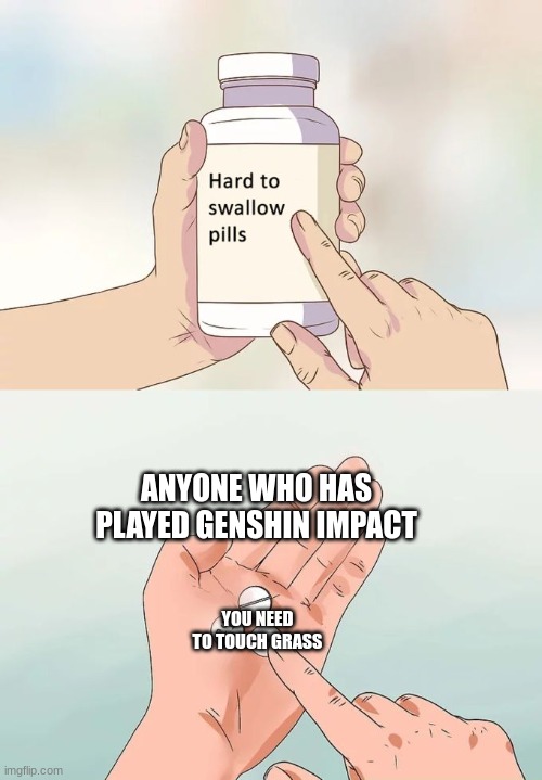 Hard To Swallow Pills | ANYONE WHO HAS PLAYED GENSHIN IMPACT; YOU NEED TO TOUCH GRASS | image tagged in memes,hard to swallow pills | made w/ Imgflip meme maker