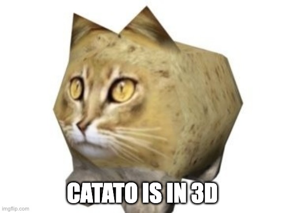 3D CATATO!! | CATATO IS IN 3D | image tagged in 3d catato | made w/ Imgflip meme maker