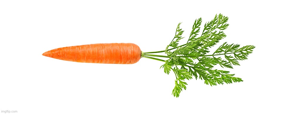 Can we get this carrot to the front page? | image tagged in carrot | made w/ Imgflip meme maker