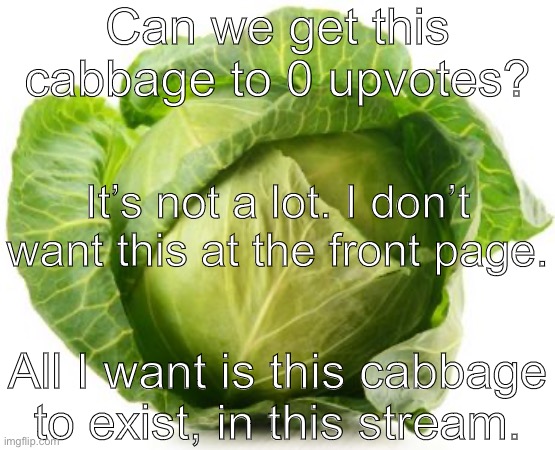 Cabbage | Can we get this cabbage to 0 upvotes? It’s not a lot. I don’t want this at the front page. All I want is this cabbage to exist, in this stream. | image tagged in cabbage | made w/ Imgflip meme maker