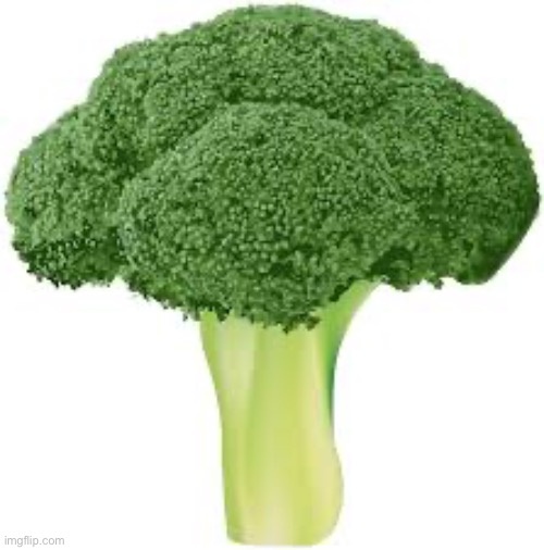 Broccoli for no reason | image tagged in broccoli for no reason | made w/ Imgflip meme maker