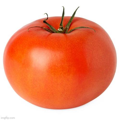 Funny | image tagged in tomato,tomat,red,vob,bob,somato | made w/ Imgflip meme maker