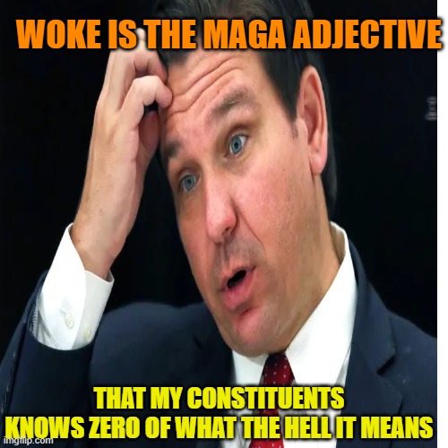 WOKE IS THE ADJECTIVE WOKE IS THE MAGA ADJECTIVE THAT MY CONSTITUENTS
KNOWS ZERO OF WHAT THE HELL IT MEANS | made w/ Imgflip meme maker