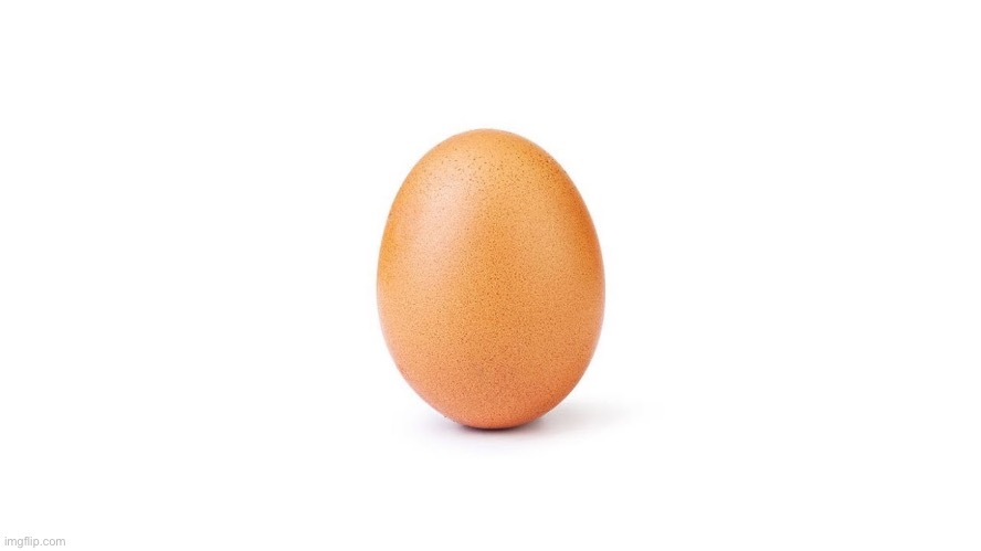 WORLD RECORD EGG | image tagged in world record egg | made w/ Imgflip meme maker