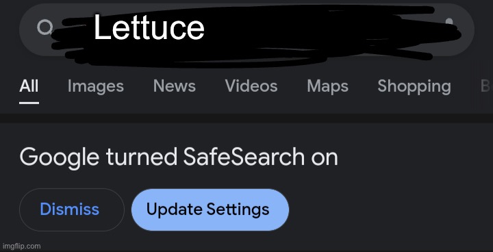 Google turned SafeSearch on | Lettuce | image tagged in google turned safesearch on | made w/ Imgflip meme maker