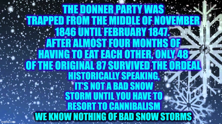 Now That's What A Really B A D Snow Storm Looks Like | THE DONNER PARTY WAS TRAPPED FROM THE MIDDLE OF NOVEMBER 1846 UNTIL FEBRUARY 1847.  AFTER ALMOST FOUR MONTHS OF HAVING TO EAT EACH OTHER, ONLY 48 OF THE ORIGINAL 87 SURVIVED THE ORDEAL; HISTORICALLY SPEAKING, IT'S NOT A BAD SNOW STORM UNTIL YOU HAVE TO RESORT TO CANNIBALISM
WE KNOW NOTHING OF BAD SNOW STORMS; WE KNOW NOTHING OF BAD SNOW STORMS | image tagged in falling snow,snow storm,snow storm large,blizzard,cannibalism,we know nothing | made w/ Imgflip meme maker