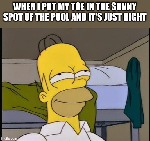 Homer satisfied | WHEN I PUT MY TOE IN THE SUNNY SPOT OF THE POOL AND IT'S JUST RIGHT | image tagged in homer satisfied,satisfying | made w/ Imgflip meme maker