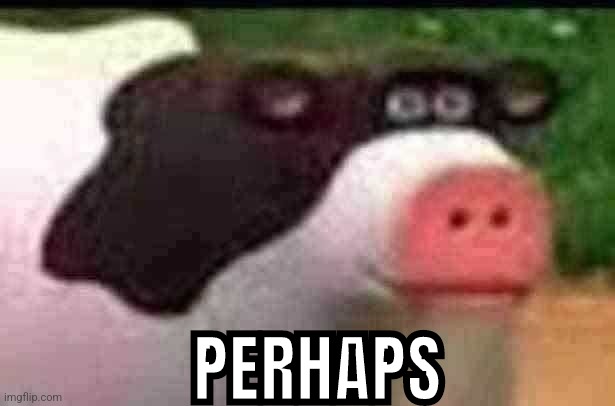 Perhaps Cow Imgflip