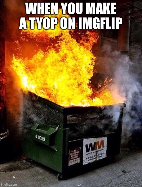 Dumpster Fire |  WHEN YOU MAKE A TYOP ON IMG FLIP | image tagged in dumpster fire | made w/ Imgflip meme maker