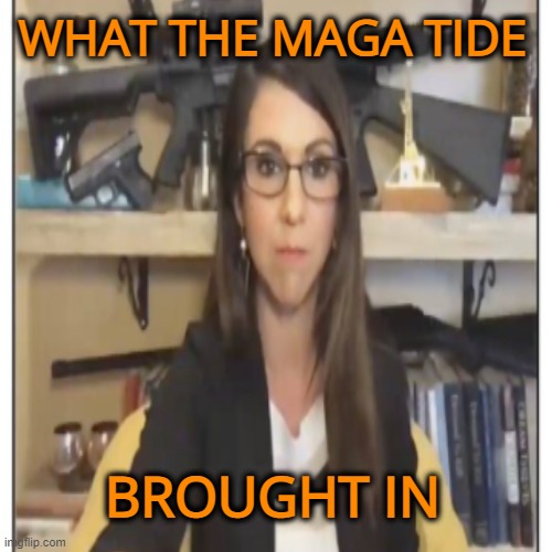 WHAT THE MAGA TIDE BROUGHT IN | made w/ Imgflip meme maker