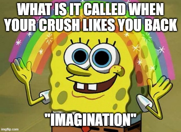 Imagination Spongebob Meme | WHAT IS IT CALLED WHEN YOUR CRUSH LIKES YOU BACK; "IMAGINATION" | image tagged in memes,imagination spongebob | made w/ Imgflip meme maker