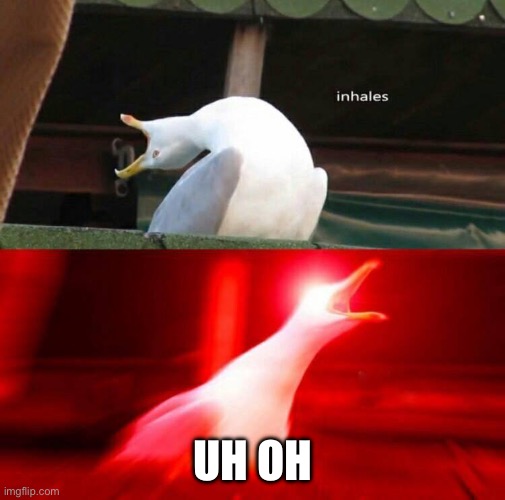 Inhaling Seagull  | UH OH | image tagged in inhaling seagull | made w/ Imgflip meme maker