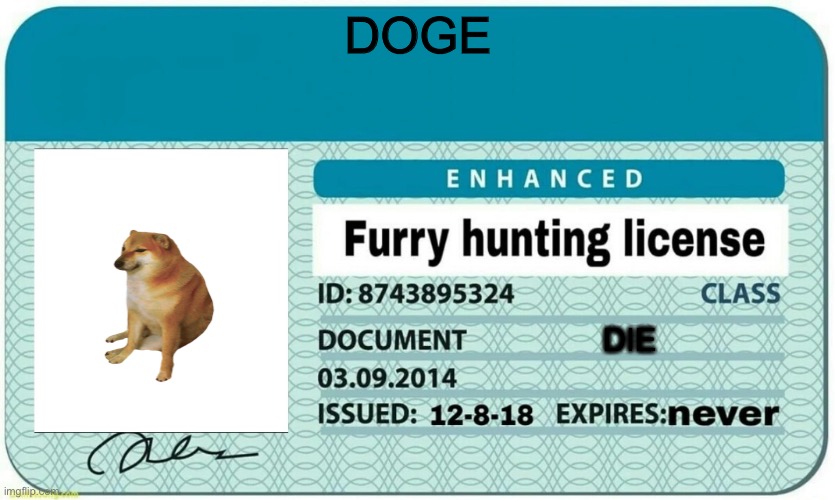 furry hunting license | DOGE; DIE | image tagged in furry hunting license | made w/ Imgflip meme maker