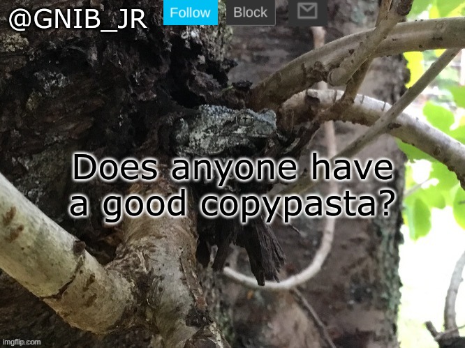 A | Does anyone have a good copypasta? | image tagged in gnib_jr's main template | made w/ Imgflip meme maker