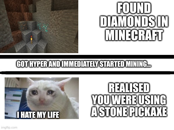 Minecraft mistakes #1 | FOUND DIAMONDS IN MINECRAFT; GOT HYPER AND IMMEDIATELY STARTED MINING... REALISED YOU WERE USING A STONE PICKAXE; I HATE MY LIFE | image tagged in minecraft,noobs,memes,diamonds | made w/ Imgflip meme maker