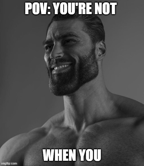 Giga Chad | POV: YOU'RE NOT; WHEN YOU | image tagged in giga chad | made w/ Imgflip meme maker