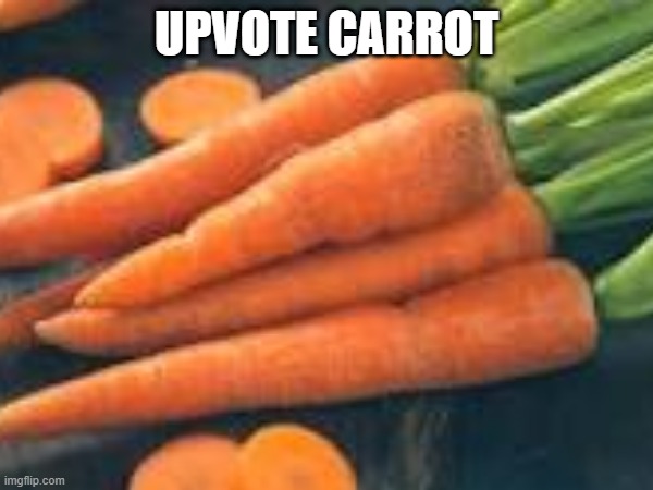 carrot | UPVOTE CARROT | image tagged in carrot | made w/ Imgflip meme maker