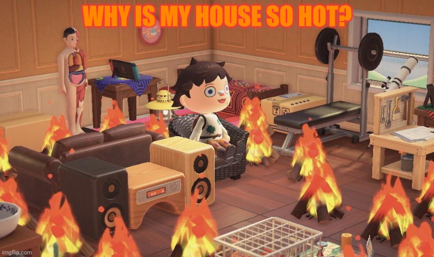 Animal Crossing This Is Fine | WHY IS MY HOUSE SO HOT? | image tagged in animal crossing this is fine | made w/ Imgflip meme maker