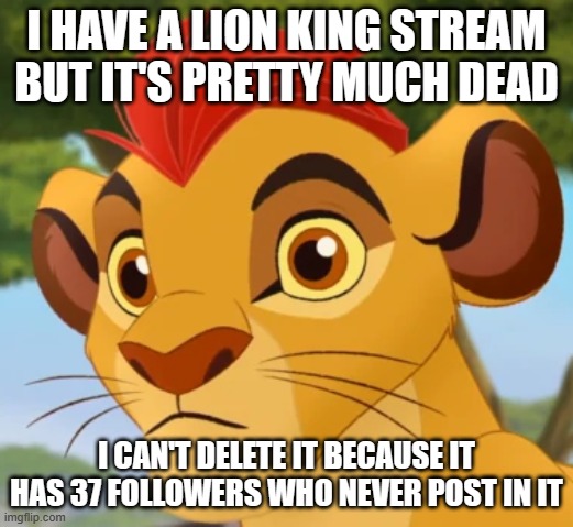 And we have to keep it safe from the LionGuardSucks stream | I HAVE A LION KING STREAM BUT IT'S PRETTY MUCH DEAD; I CAN'T DELETE IT BECAUSE IT HAS 37 FOLLOWERS WHO NEVER POST IN IT | image tagged in confused kion,the lion king | made w/ Imgflip meme maker
