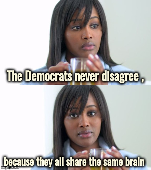 Black Woman Drinking Tea (2 Panels) | The Democrats never disagree , because they all share the same brain | image tagged in black woman drinking tea 2 panels | made w/ Imgflip meme maker