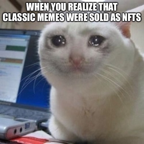 Yep.You heard me right. | WHEN YOU REALIZE THAT CLASSIC MEMES WERE SOLD AS NFTS | image tagged in crying cat | made w/ Imgflip meme maker