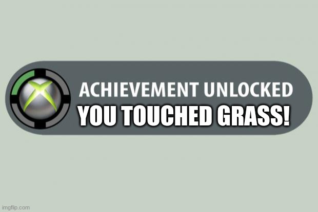 achievement unlocked | YOU TOUCHED GRASS! | image tagged in achievement unlocked | made w/ Imgflip meme maker