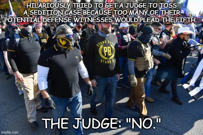 This incident gets the full Nelson Muntz | HILARIOUSLY TRIED TO GET A JUDGE TO TOSS A SEDITION CASE BECAUSE TOO MANY OF THEIR POTENTIAL DEFENSE WITNESSES WOULD PLEAD THE FIFTH. THE JUDGE: "NO." | image tagged in proud boys | made w/ Imgflip meme maker