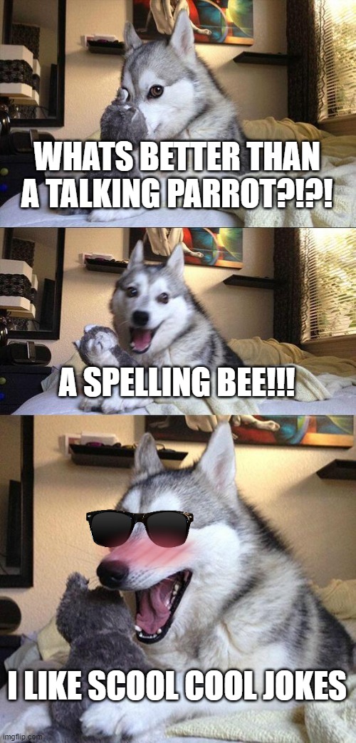 Bad Pun Dog | WHATS BETTER THAN A TALKING PARROT?!?! A SPELLING BEE!!! I LIKE SCOOL COOL JOKES | image tagged in memes,bad pun dog | made w/ Imgflip meme maker