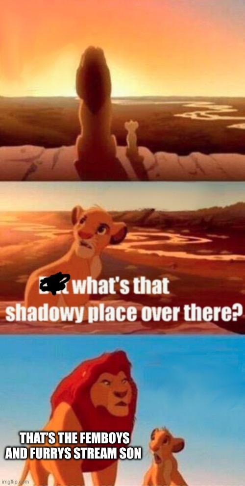 Help me raid it | THAT’S THE FEMBOYS AND FURRYS STREAM SON | image tagged in memes,simba shadowy place | made w/ Imgflip meme maker