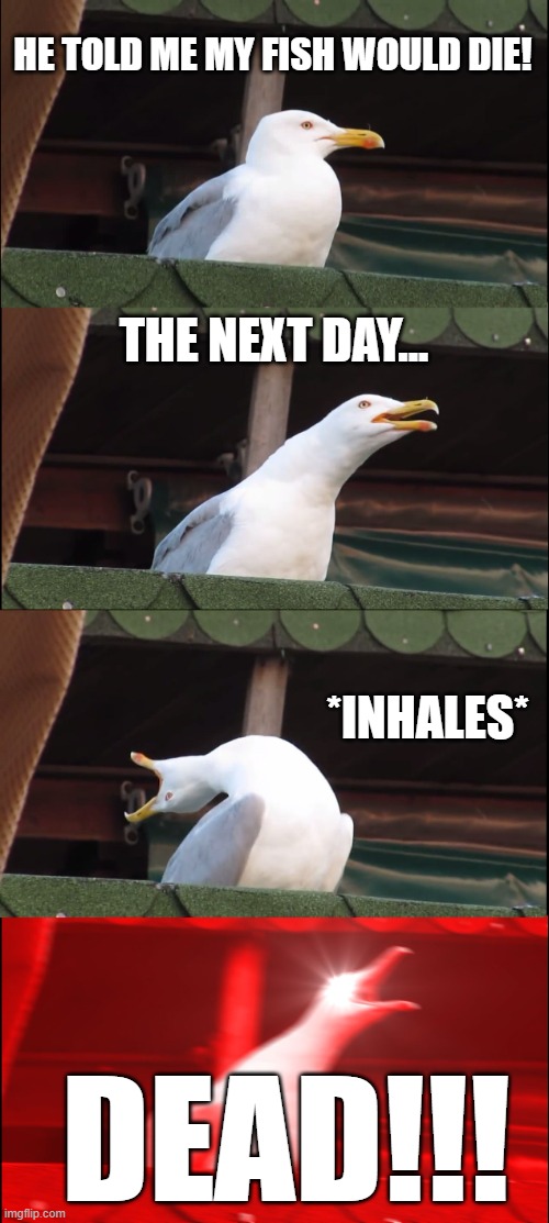 me when singing "We don't talk about bruno" | HE TOLD ME MY FISH WOULD DIE! THE NEXT DAY... *INHALES*; DEAD!!! | image tagged in memes,inhaling seagull | made w/ Imgflip meme maker