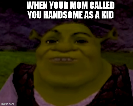 The days | WHEN YOUR MOM CALLED YOU HANDSOME AS A KID | image tagged in shrek | made w/ Imgflip meme maker