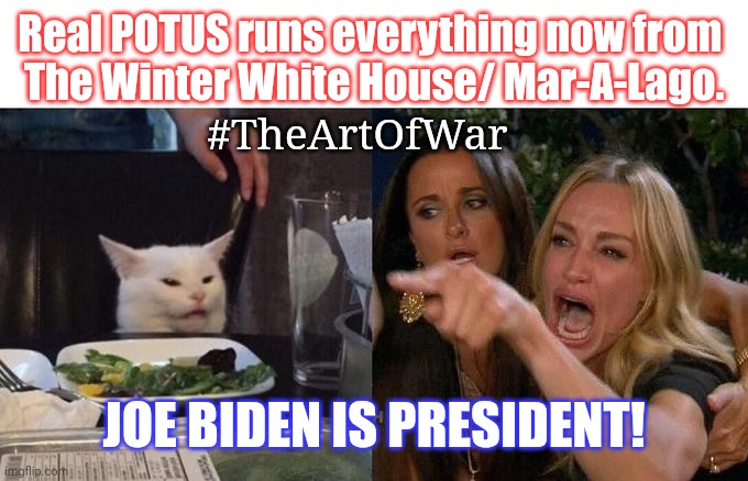 The Lion King's Sidekick: CATTURD #WINNING at 5D Chess as Dem'rats Play Checkers. "#SpeakerMcCarthy" ;) | Real POTUS runs everything now from 
The Winter White House/ Mar-A-Lago. #TheArtOfWar; JOE BIDEN IS PRESIDENT! | image tagged in karen pissed at catturd,deep state,exposed,the great awakening,the lion king,donald trump approves | made w/ Imgflip meme maker