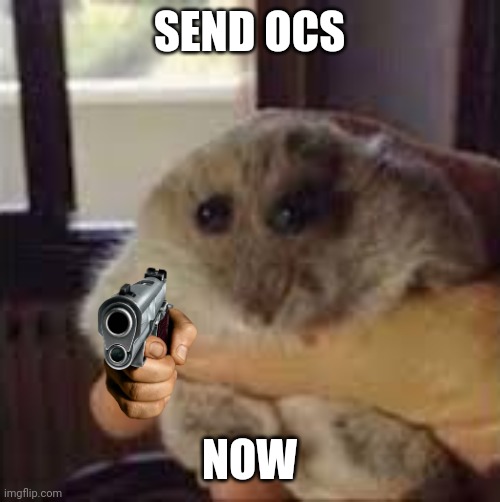 Do. It. Now. | SEND OCS; NOW | image tagged in hamter | made w/ Imgflip meme maker